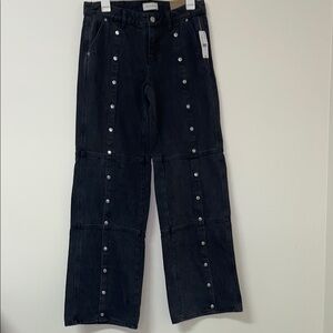 Pacsun Low Rise Baggy Denim Jeans Size 25